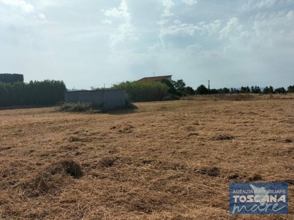 terreno agricolo in vendita a Cecina