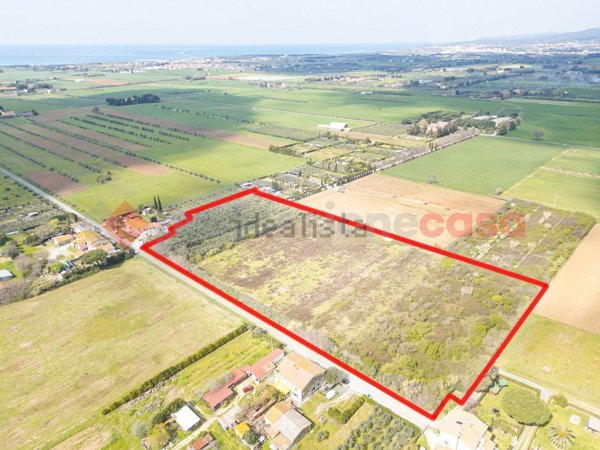 terreno agricolo in vendita a Cecina