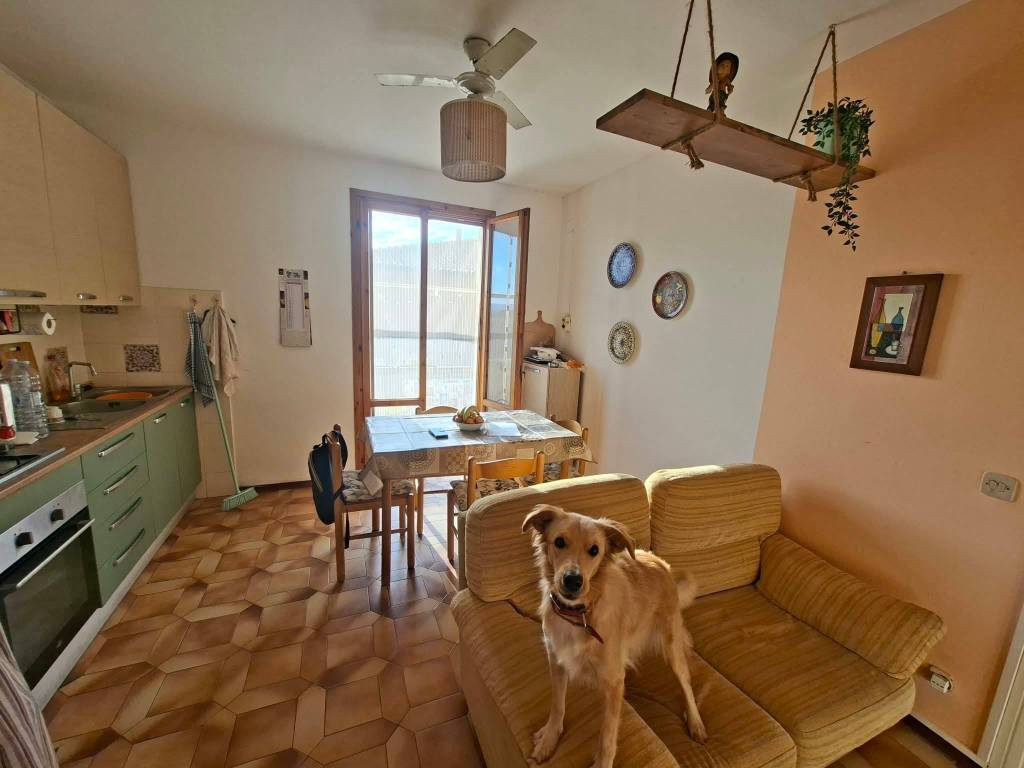 appartamento in vendita a Cecina