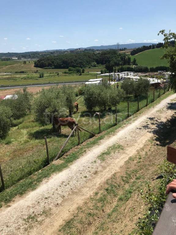 terreno agricolo in vendita a Collesalvetti in zona Castell'Anselmo