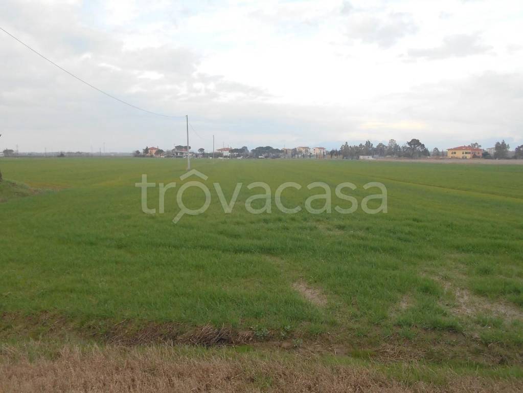 terreno agricolo in vendita a Collesalvetti in zona Vicarello