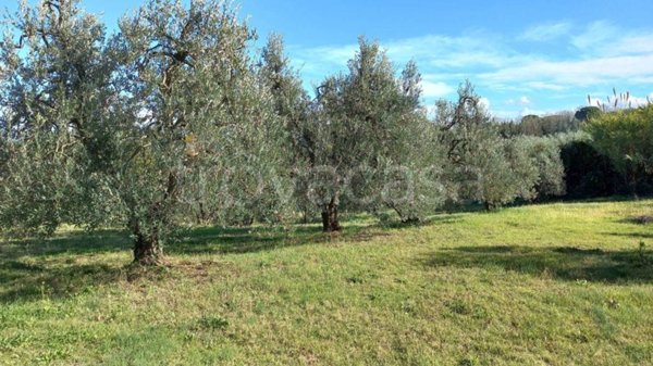 terreno agricolo in vendita a Collesalvetti in zona Parrana San Giusto