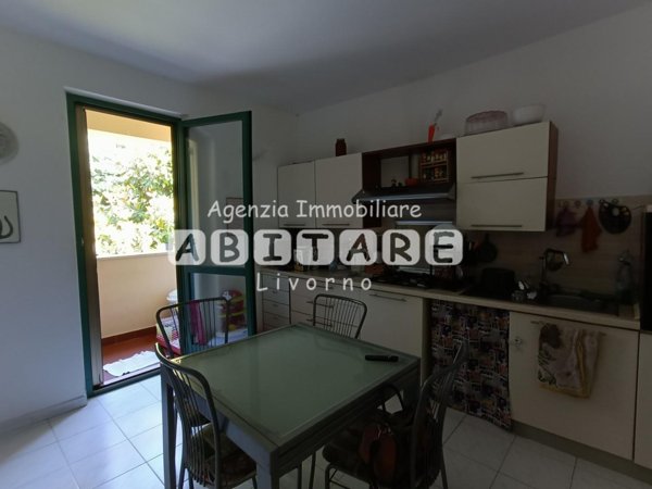 appartamento in vendita a Collesalvetti