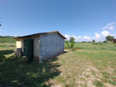 terreno agricolo in vendita a Collesalvetti