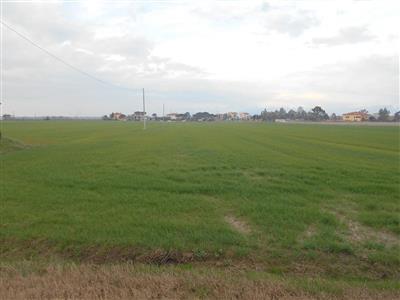 terreno agricolo in vendita a Collesalvetti in zona Vicarello
