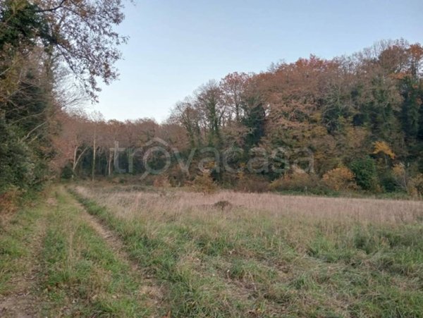 terreno agricolo in vendita a Collesalvetti