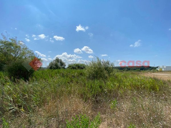 terreno agricolo in vendita a Collesalvetti