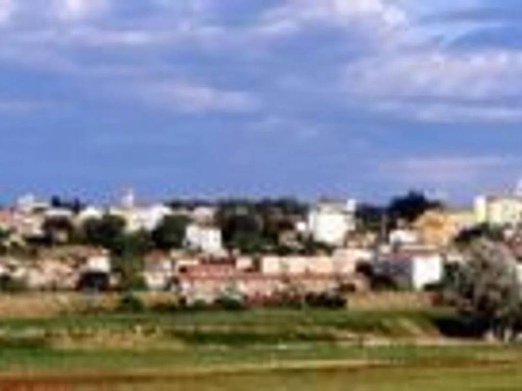 locale commerciale in vendita a Collesalvetti