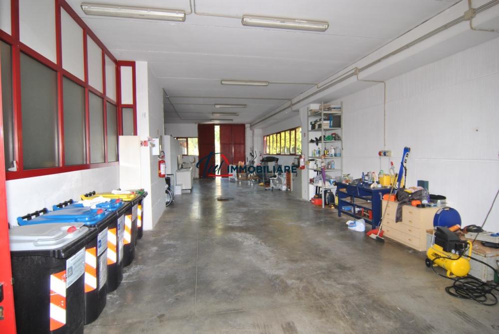 capannone in vendita a Collesalvetti in zona Stagno