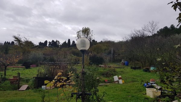 casa semindipendente in vendita a Collesalvetti