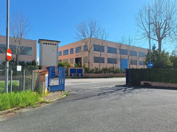 locale commerciale in vendita a Collesalvetti