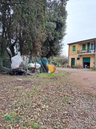 casa indipendente in vendita a Collesalvetti