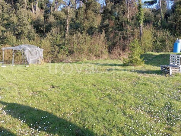 terreno agricolo in vendita a Collesalvetti