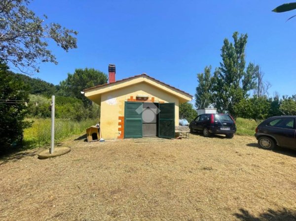 terreno agricolo in vendita a Collesalvetti