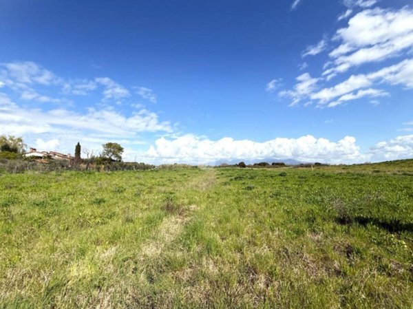 terreno agricolo in vendita a Collesalvetti