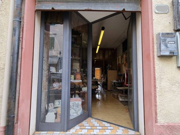 negozio in vendita a Collesalvetti
