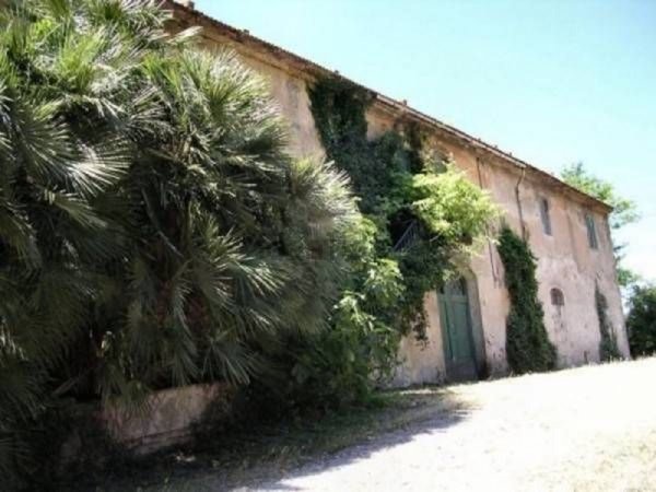 azienda agricola in vendita a Collesalvetti