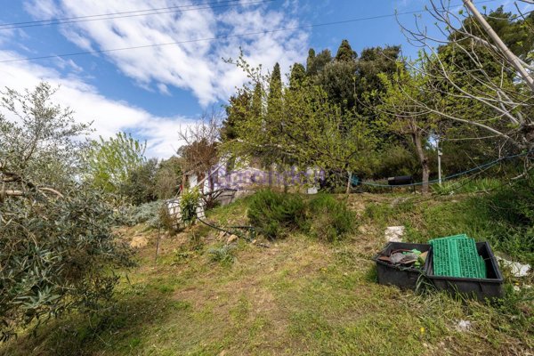 appartamento in vendita a Collesalvetti