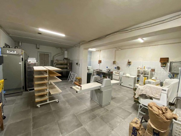negozio in vendita a Collesalvetti