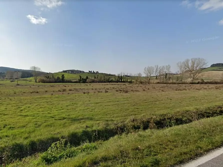 terreno agricolo in vendita a Collesalvetti