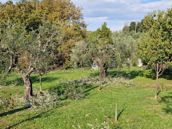 terreno agricolo in vendita a Collesalvetti