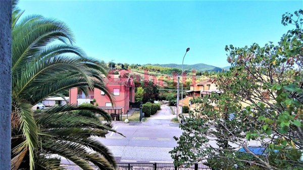 appartamento in vendita a Collesalvetti