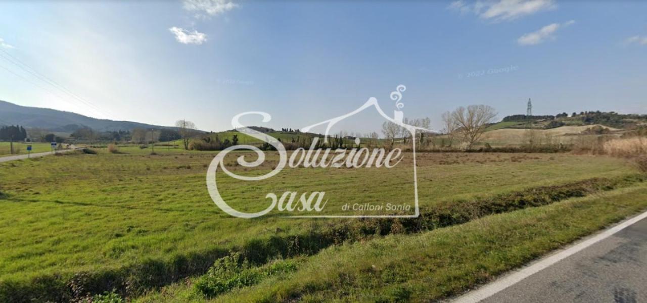 terreno agricolo in vendita a Collesalvetti