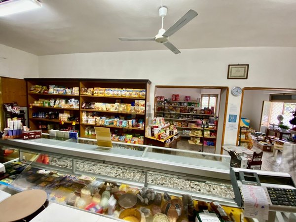 negozio in vendita a Collesalvetti