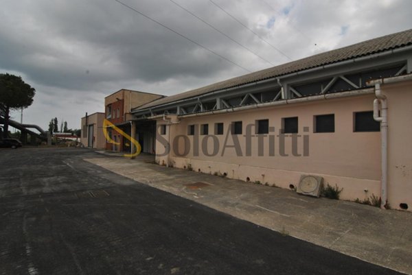 appartamento in vendita a Collesalvetti in zona Stagno
