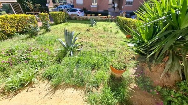 appartamento in vendita a Collesalvetti