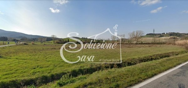 terreno agricolo in vendita a Collesalvetti