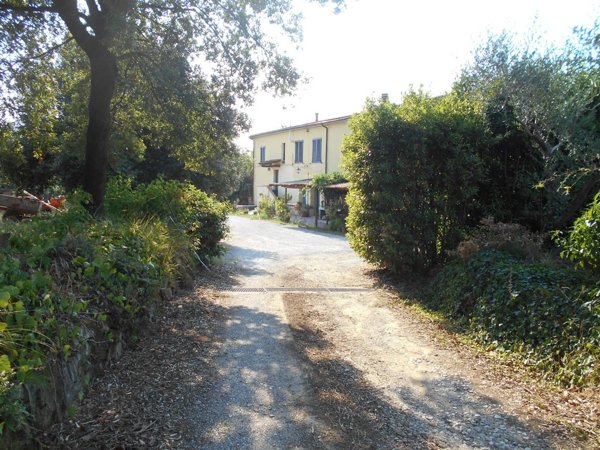 appartamento in vendita a Collesalvetti