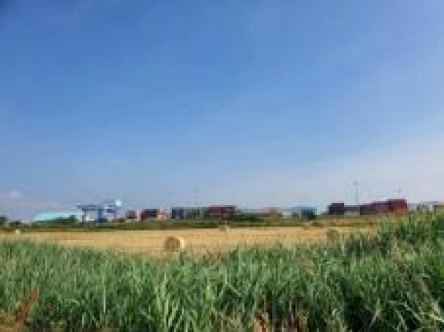terreno agricolo in vendita a Collesalvetti