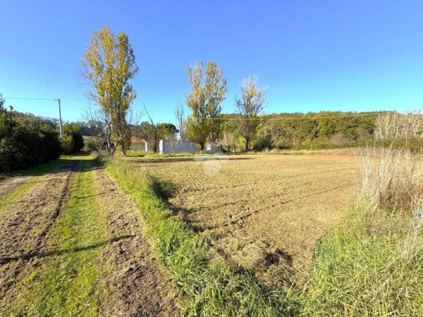 terreno agricolo in vendita a Collesalvetti