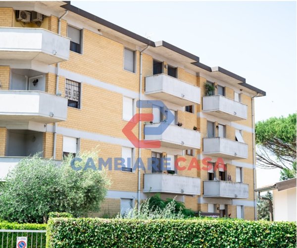 appartamento in vendita a Collesalvetti