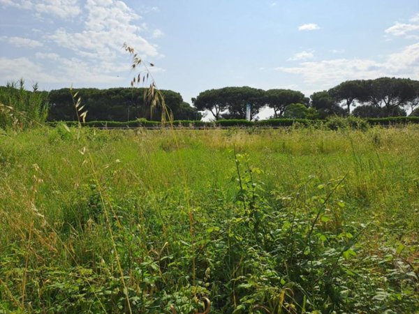 terreno agricolo in vendita a Collesalvetti in zona Stagno