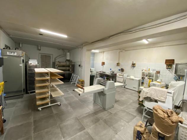 negozio in vendita a Collesalvetti