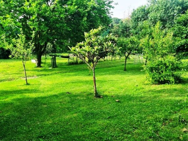 terreno agricolo in vendita a Collesalvetti