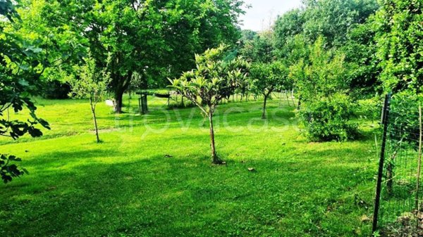 terreno agricolo in vendita a Collesalvetti