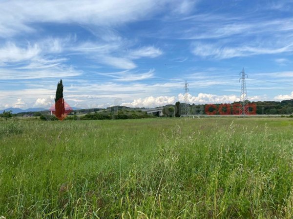 terreno agricolo in vendita a Collesalvetti