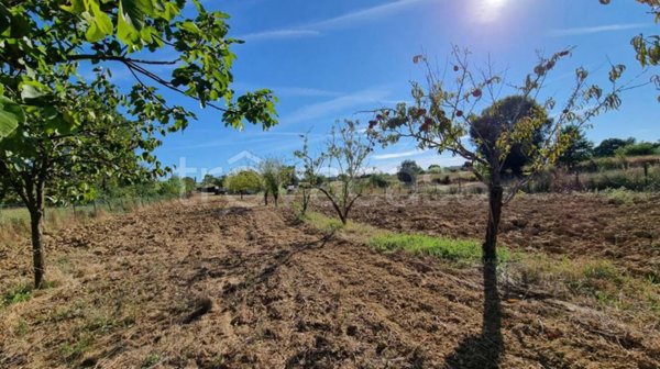terreno agricolo in vendita a Collesalvetti