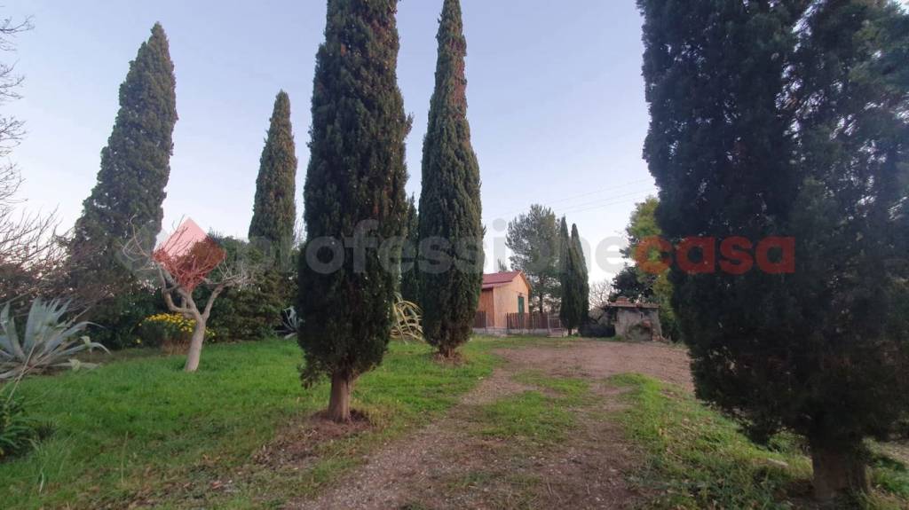 terreno agricolo in vendita a Collesalvetti