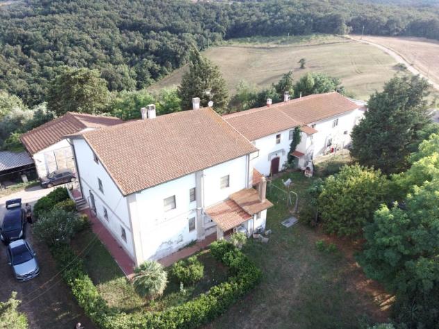 appartamento in vendita a Collesalvetti