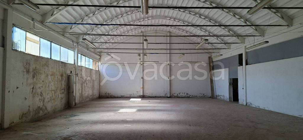 negozio in vendita a Collesalvetti in zona Stagno