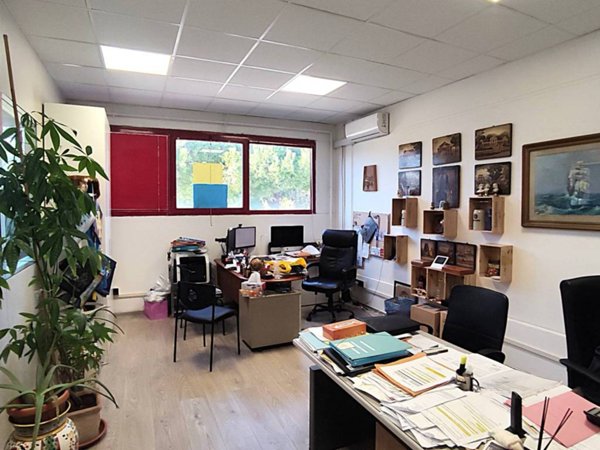 locale commerciale in vendita a Collesalvetti in zona Stagno