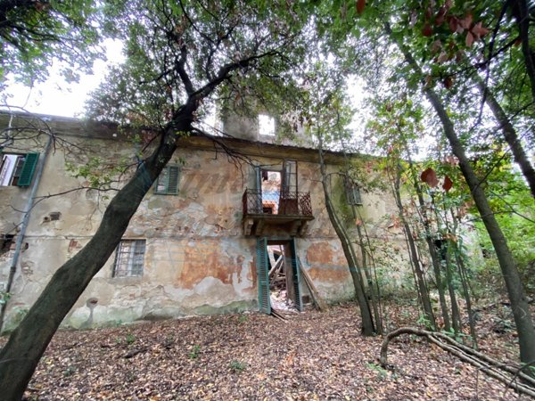 negozio in vendita a Collesalvetti