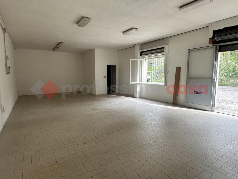 negozio in vendita a Collesalvetti in zona Stagno