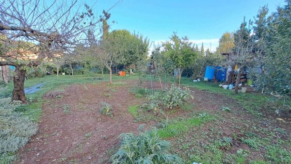 terreno agricolo in vendita a Collesalvetti
