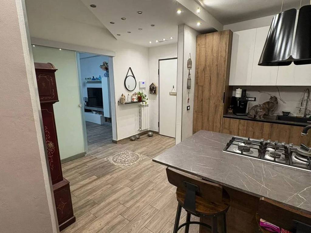 appartamento in vendita a Collesalvetti in zona Stagno