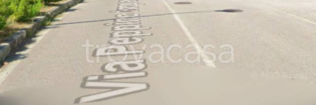 terreno agricolo in vendita a Collesalvetti